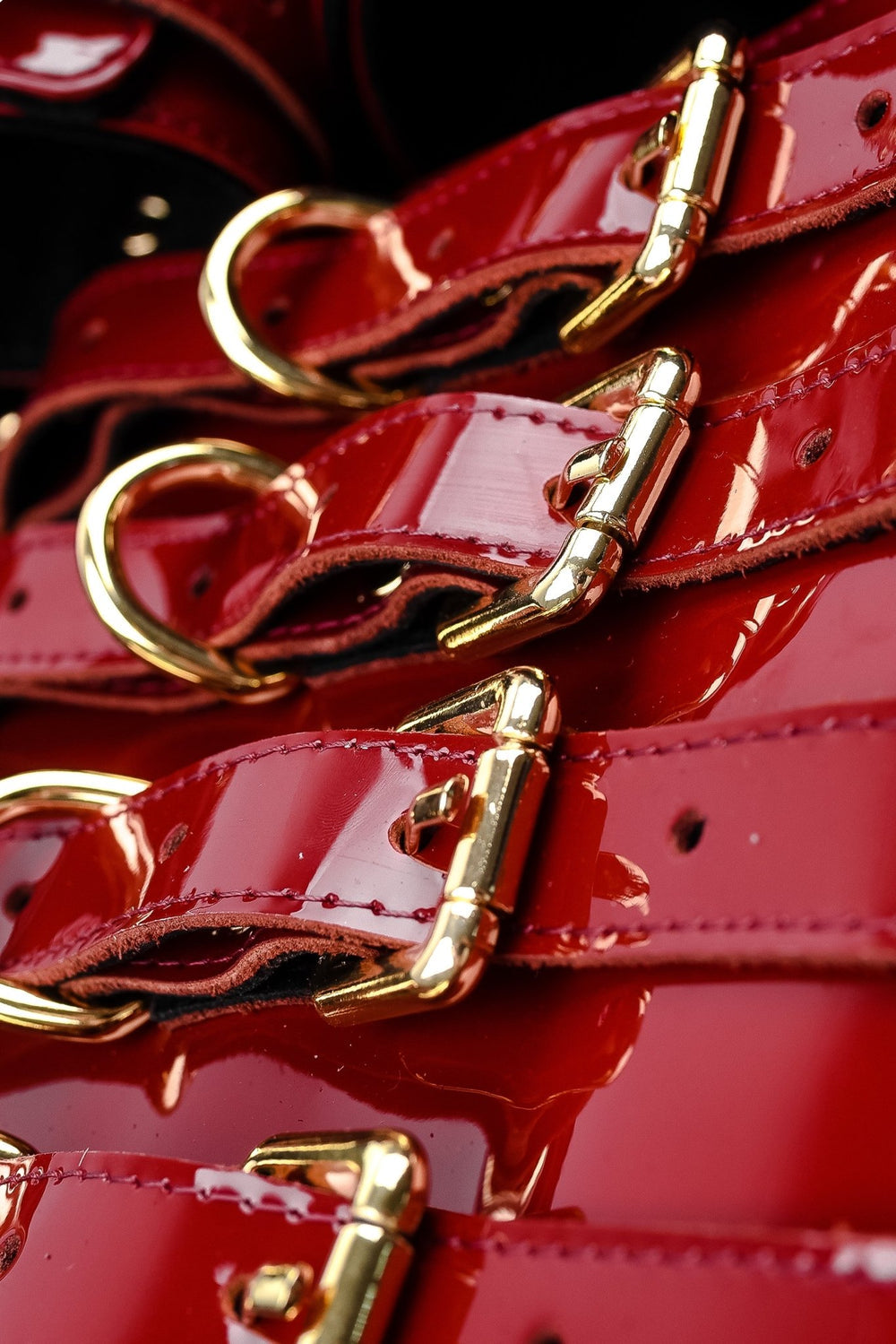 LUXURY LEATHER BONDAGE AMNESIS SET