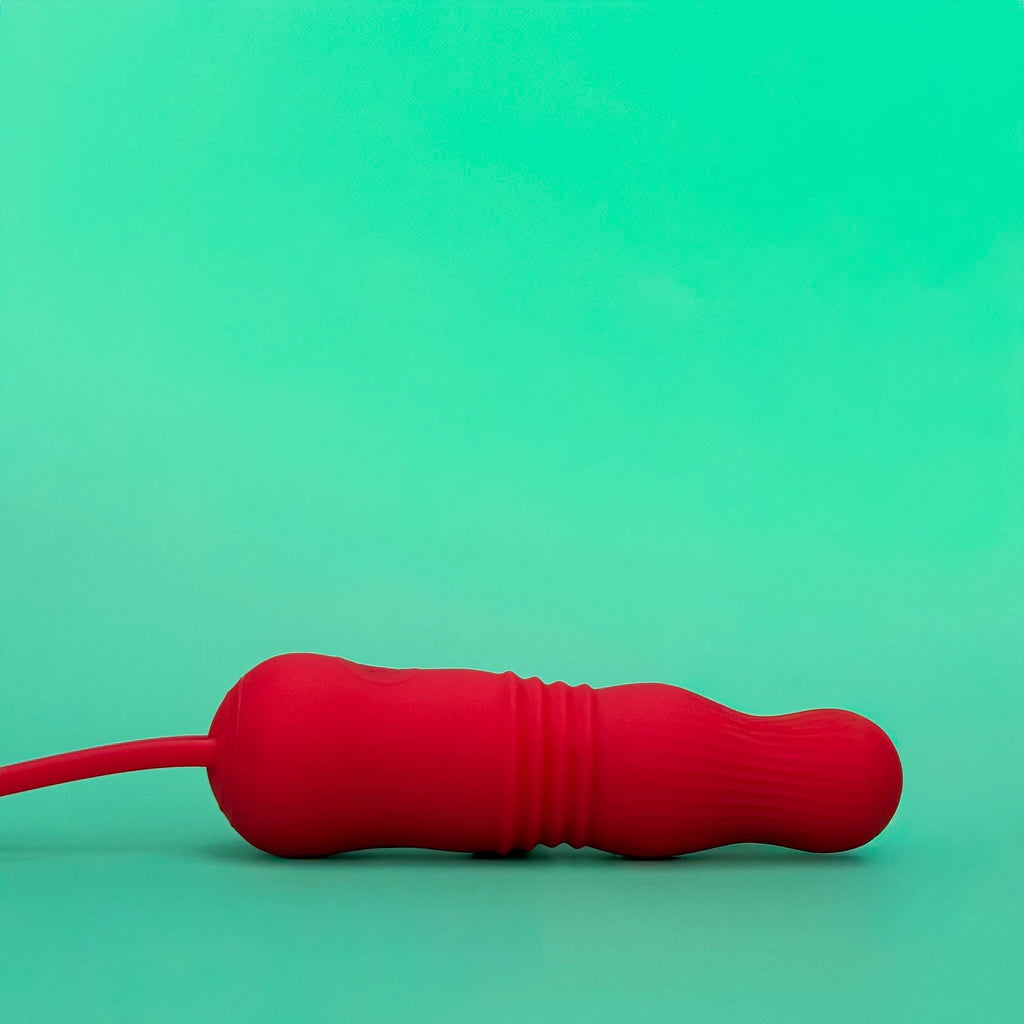 PANNY EGG VIBRATOR