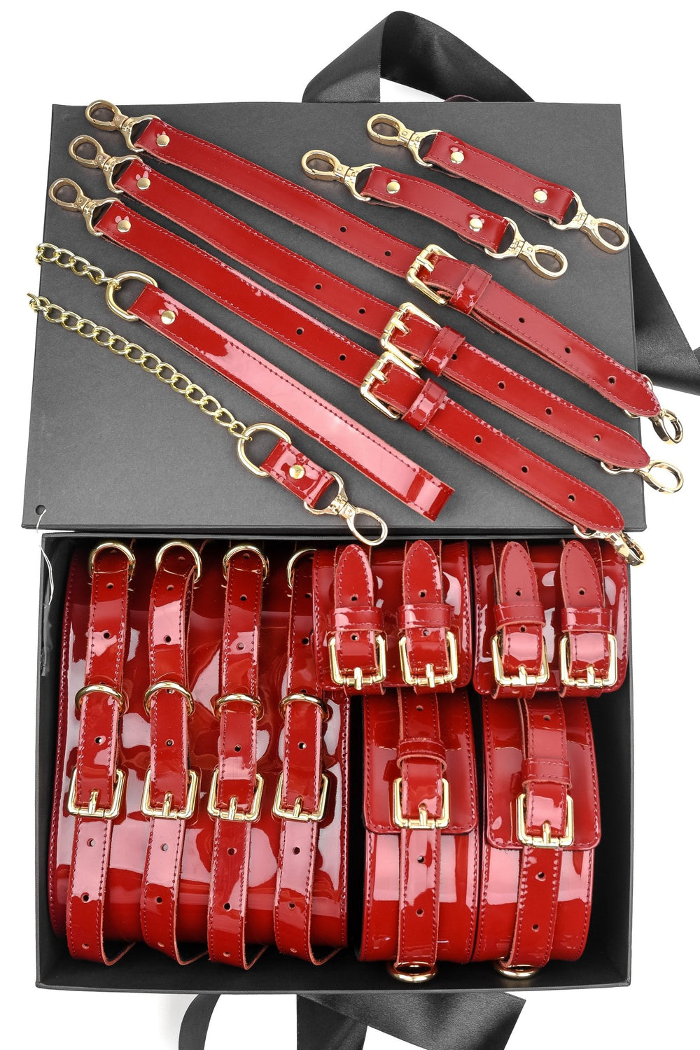 LUXURY LEATHER BONDAGE AMNESIS SET