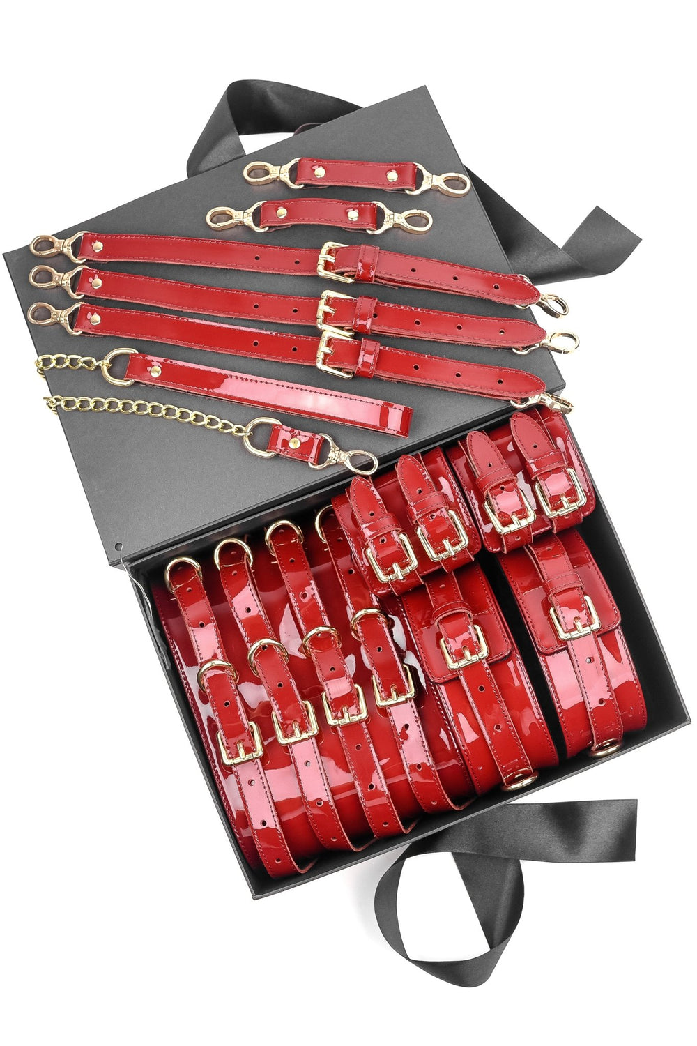 LUXURY LEATHER BONDAGE AMNESIS SET