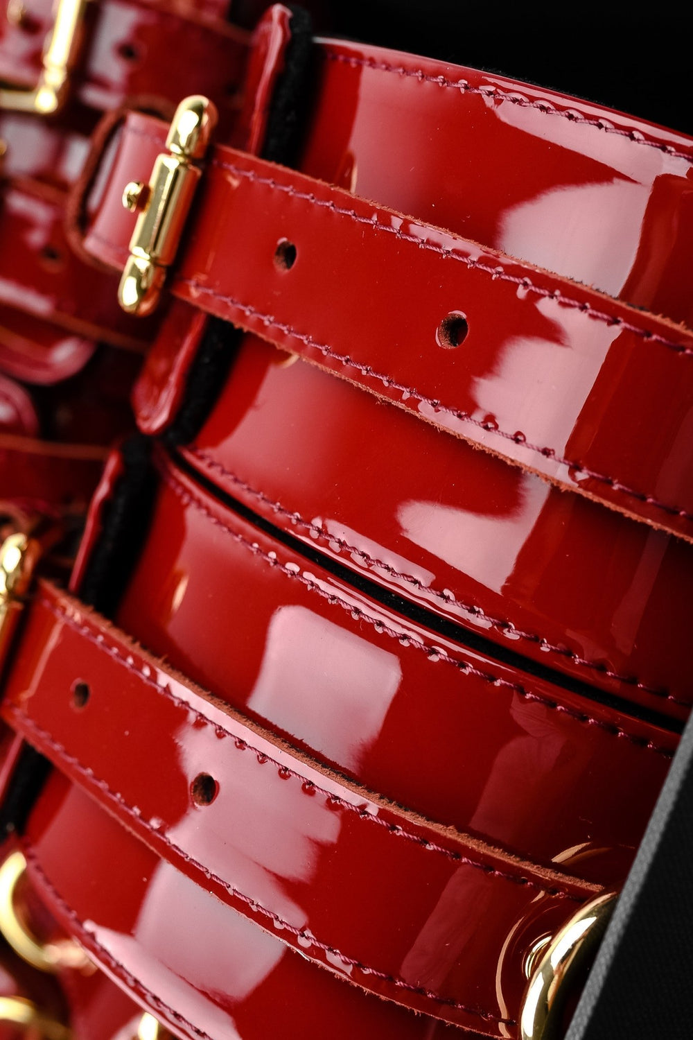 LUXURY LEATHER BONDAGE AMNESIS SET