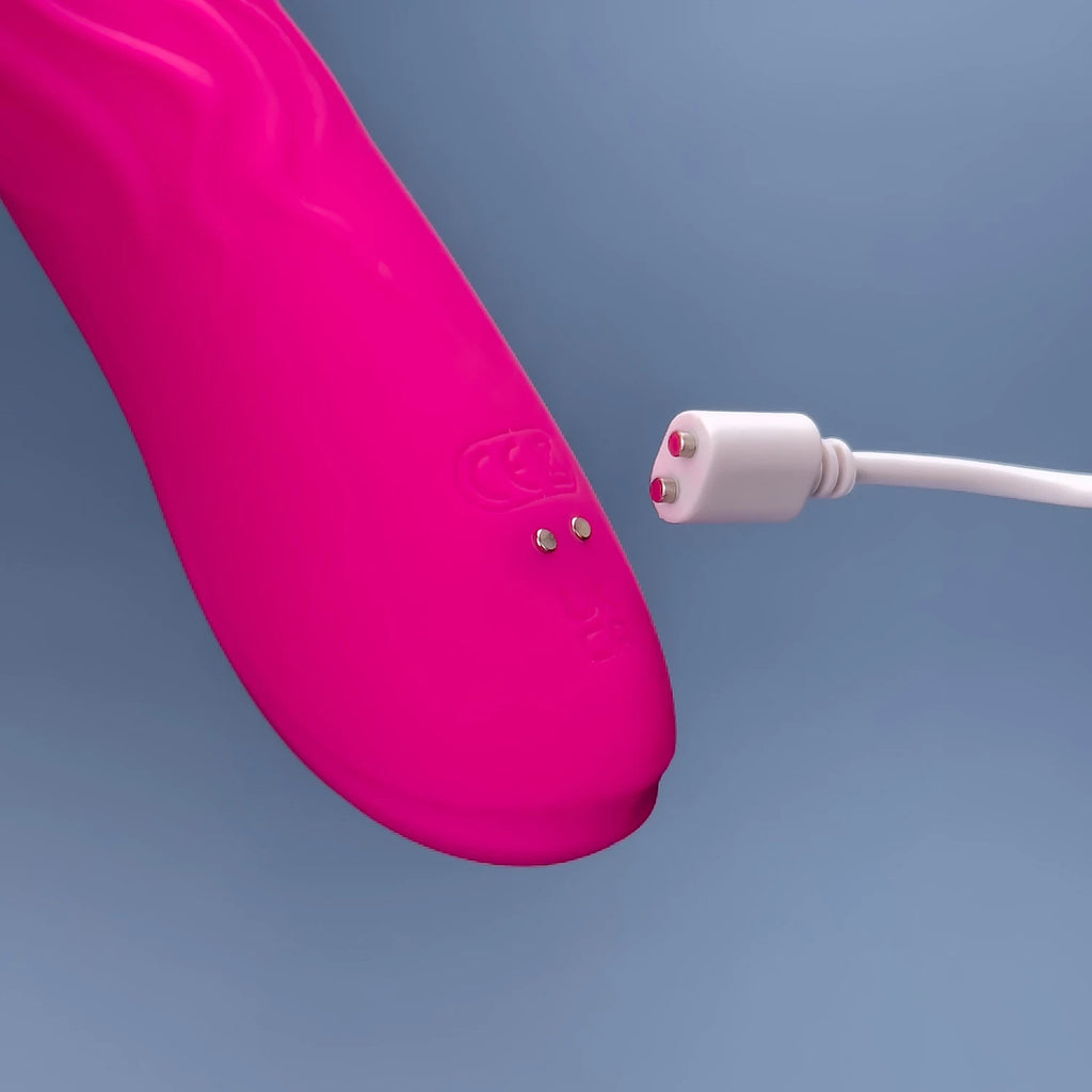 LIXY DILDO VIBRATOR