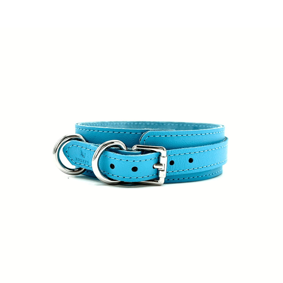 SAMBA OCEAN COLLAR