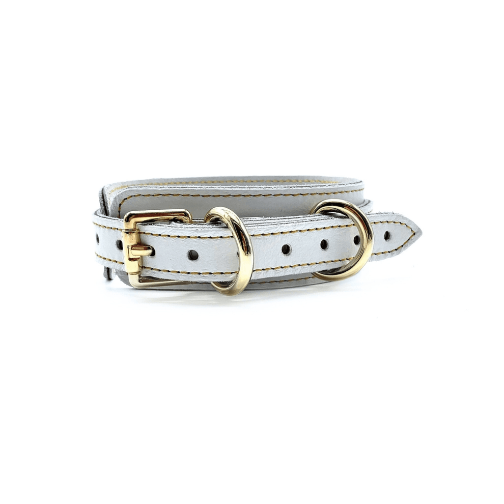 SAMBA BLANC COLLAR