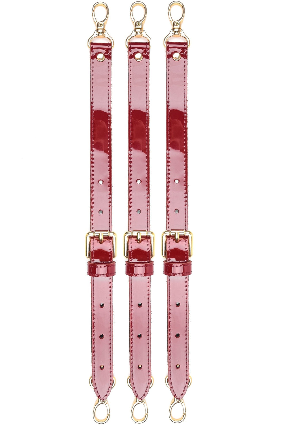 LUXURY LEATHER BONDAGE AMNESIS SET