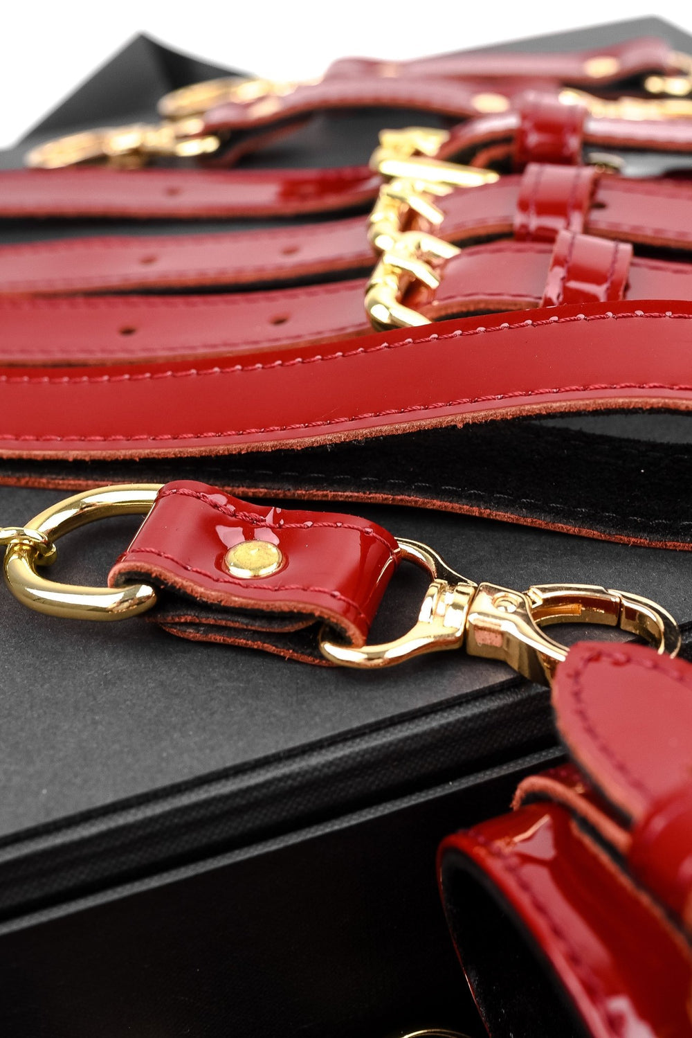 LUXURY LEATHER BONDAGE AMNESIS SET